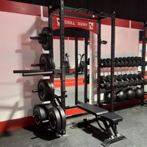 Dip Station Attachment on a rack
