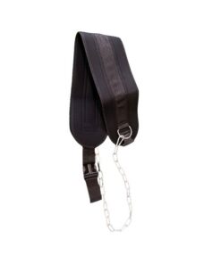 Dipping Belt