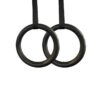 Plastic Gym Rings