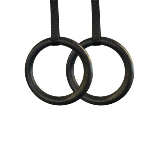 Plastic Gym Rings
