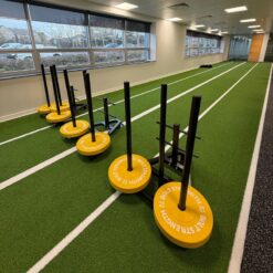 Prowlers