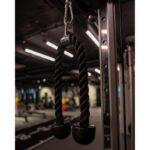 Tricep Rope (Double)