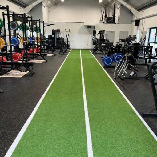 Bolt Strength Premium Turf with Lines (Green)