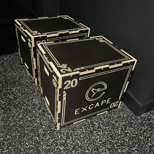 Custom Wooden Plyo Box with Logo Excape