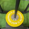 Competition Bumper Plate 15kg on a sled