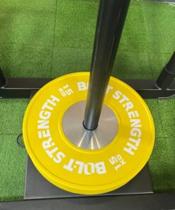 Competition Bumper Plate 15kg on a sled