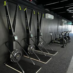 Concept 2 SkiErg