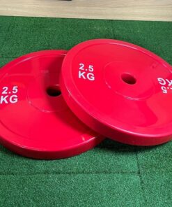 Bolt strength technique plate 2.5kg