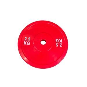 Bolt strength technique plate 2.5kg