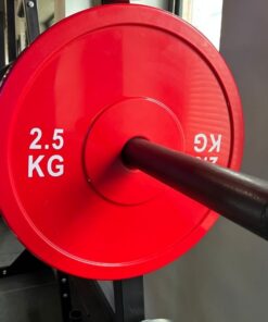 Bolt strength technique plate 2.5kg