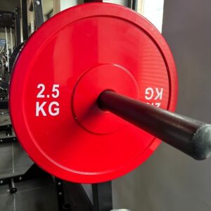 Bolt strength technique plate 2.5kg