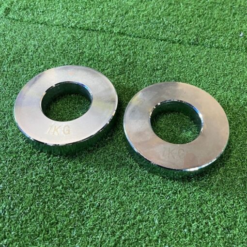 Silver fractional plates 1kg