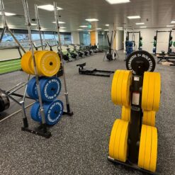 Weight Plate Tree
