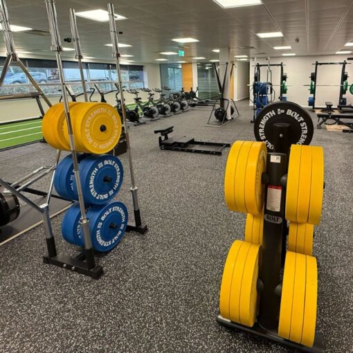Weight Plate Tree