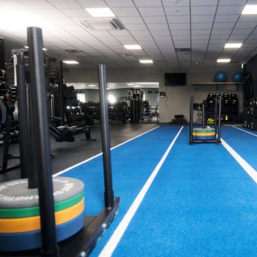 Bolt Strength Dog Sled