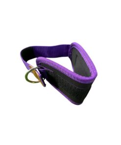 Cable Kick Back Foot _ Ankle Strap