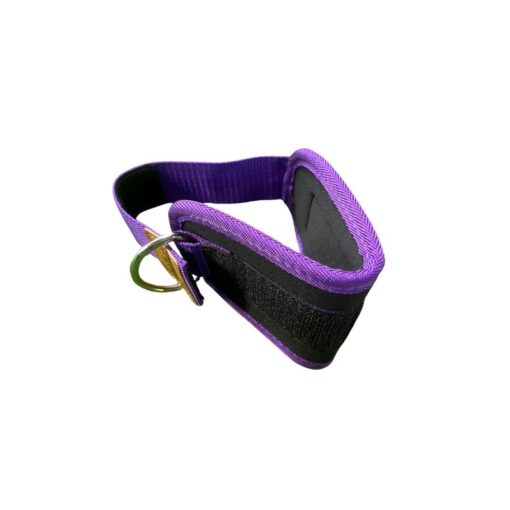 Cable Kick Back Foot _ Ankle Strap