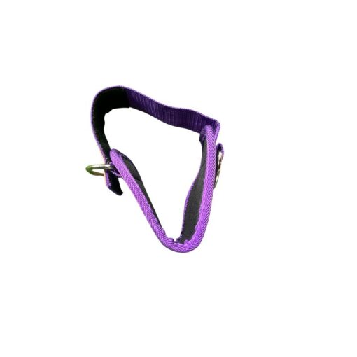 Cable Kick Back Foot _ Ankle Strap