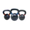 Cast Iron Kettlebell Heavy Bundle (121620kg)