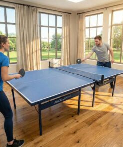 AccuPro Table Tennis Table people playing