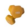 1kg Coloured Neoprene Dumbbells