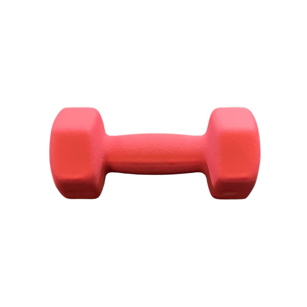 10kg neoprene online dumbbells