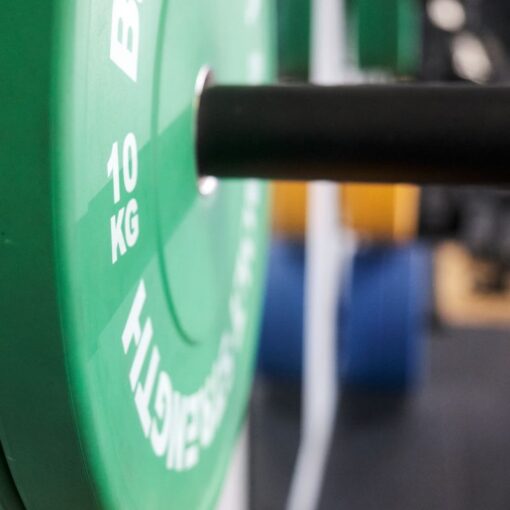 Plate Storage Peg (Single)