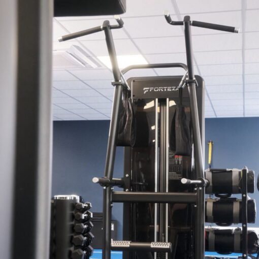 Forteza Prima Assisted Dip_Chin (Standing)