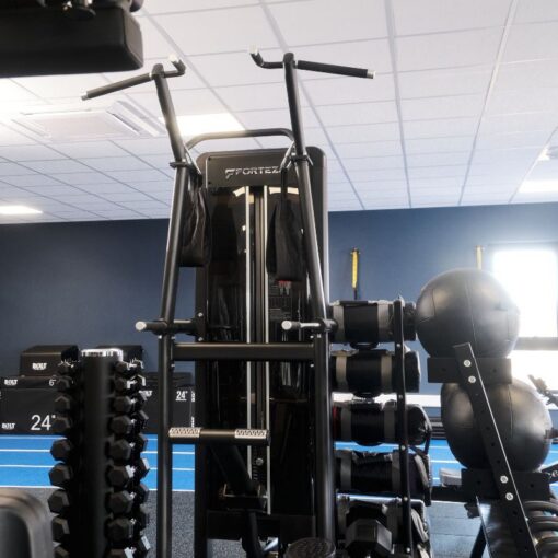 Forteza Prima Assisted Dip_Chin (Standing)
