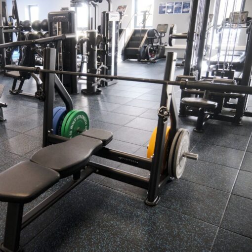 Forteza Prima Olympic Bench Press