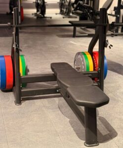 Forteza Prima Olympic Bench Press