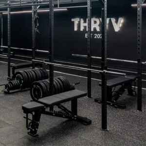 Full Commercial Adjustable Bench