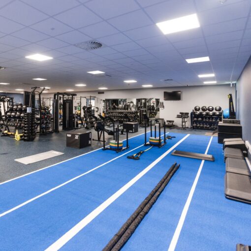 Bolt Strength Premium Turf 2m 12.5m 16mm cut in half and placed side by side in Glenamaddy