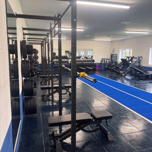 Bolt Strength Premium Turf 2m 12.5m 16mm (Blue With Lines)