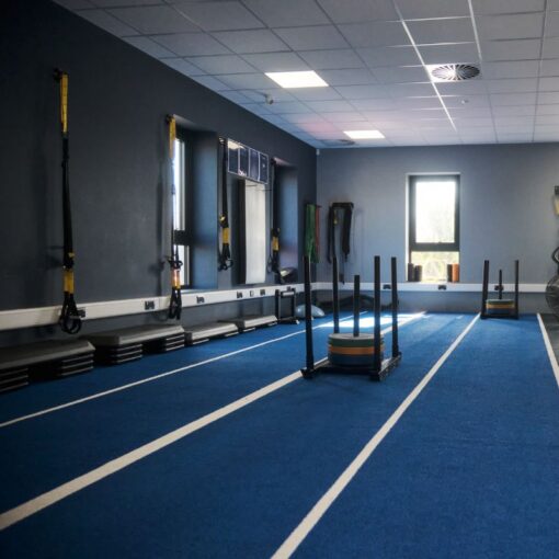 Bolt Strength Premium Turf (Blue with lines)