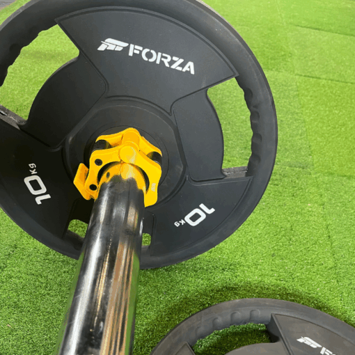 Forza 10kg plates