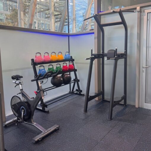 Corporate - Easy Clean 20mm Black Floor with Blue Fleck
