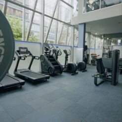 Corporate - Easy Clean 20mm Black Floor with Blue Fleck