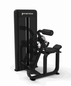 Forteza Prima Ab Crunch/Back Extension