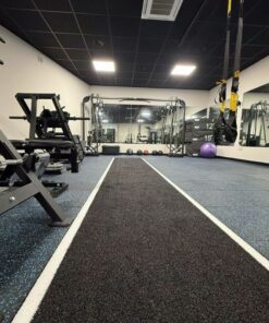 Home Gym - blue fleck flooring