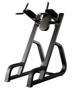Bolt Strength Commercial Dip Station/Leg Raise