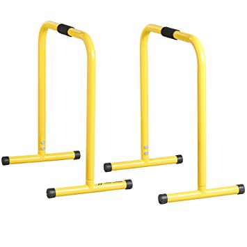Crossfit Parallel Bars