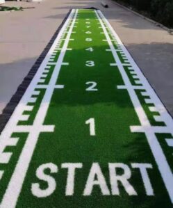 Bolt Strength Gorilla Turf with Markings