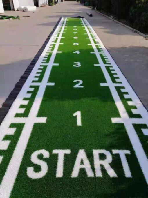 Bolt Strength Gorilla Turf with Markings