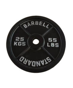 25kg Cast Iron Plates