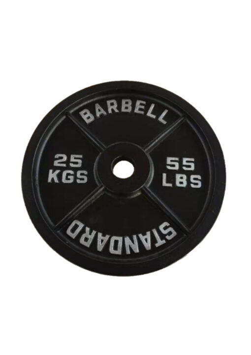 25kg Cast Iron Plates