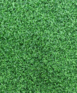 2m x 25m (Green)