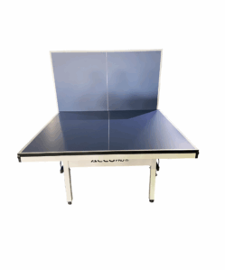 table tennis table