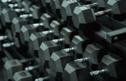 Dumbbell-Selection-1-1
