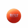 hockey ball orange